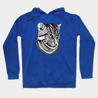 Fishing cat - ink illustration Hoodie